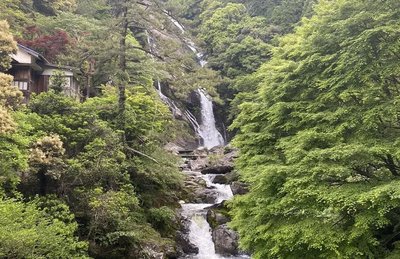 🏞️ 되돌아보는 폭포(미카에리노타키)